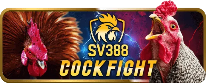 Biểu Đồ Hoa Hồng Phân Cấp 25win